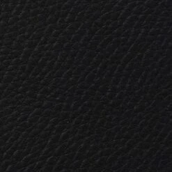 VidaXL Eetkamerstoelen 2 St Gebogen Hout En Kunstleer -Puur Winkel 1000060875 0102