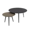 Hoyz - Salontafel Metallic - Rond - Grijs - Set Van 2