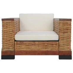 VidaXL Fauteuil Met Kussens Natuurlijk Rattan Bruin -Puur Winkel 6ab9002f7ebb42a99d9e772b59cb2820