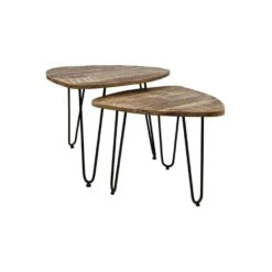 HSM Collection Salontafel Dexter (2 Stuks) - Naturel/zwart
